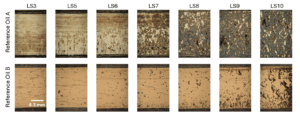 Micropitting progression